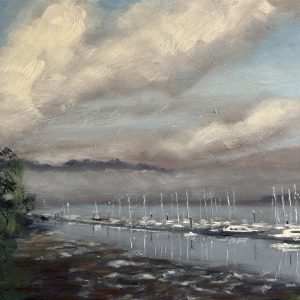 Misty Morning Noss Marina River Dart